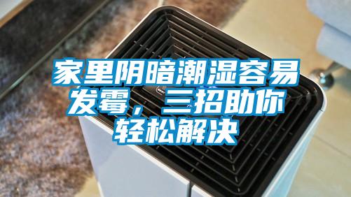 家里陰暗潮濕容易發(fā)霉，三招助你輕松解決