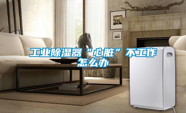 工業(yè)除濕器“心臟”不工作怎么辦