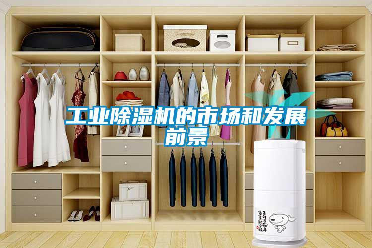 工業(yè)除濕機的市場(chǎng)和發(fā)展前景
