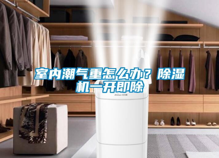 室內潮氣重怎么辦？除濕機一開(kāi)即除