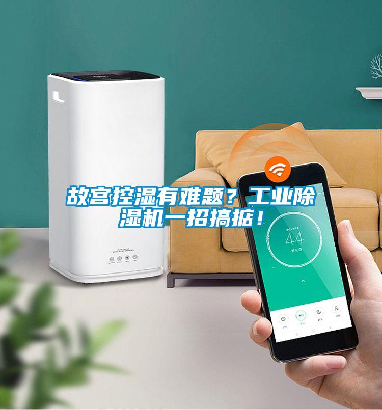 故宮控濕有難題？工業(yè)除濕機一招搞掂！
