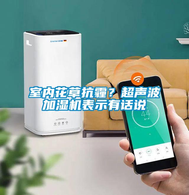 室內花草抗霾？超聲波加濕機表示有話(huà)說(shuō)