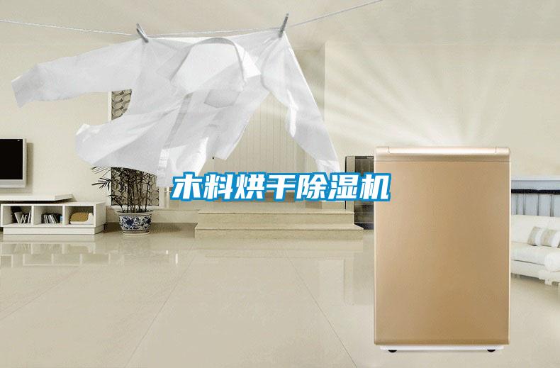 木料烘干除濕機(jī)