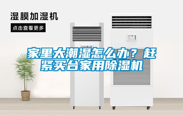 家里太潮濕怎么辦？趕緊買臺家用除濕機