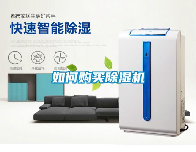 如何購(gòu)買(mǎi)除濕機(jī)