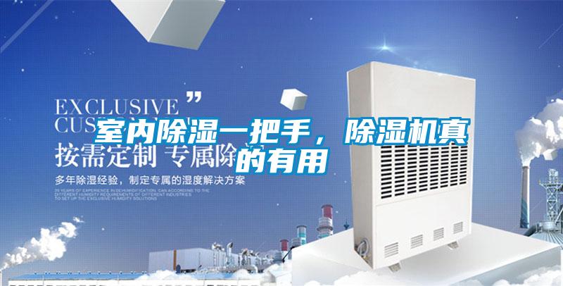 室內除濕一把手，除濕機真的有用