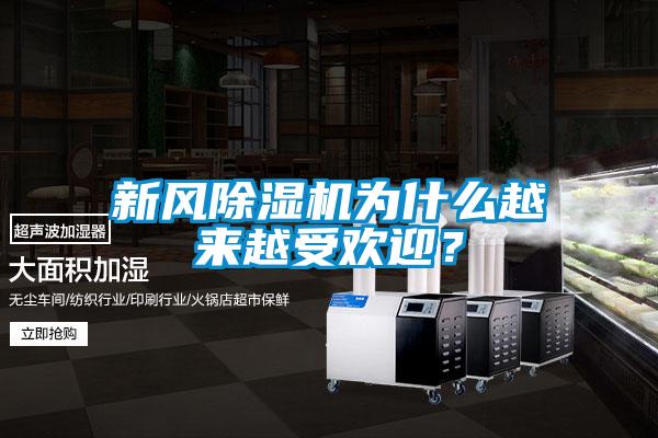 新風(fēng)除濕機為什么越來(lái)越受歡迎？