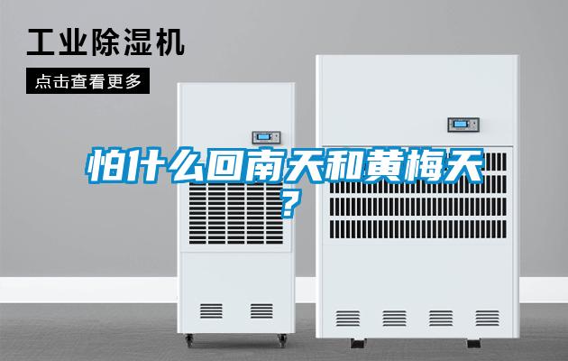 怕什么回南天和黃梅天？