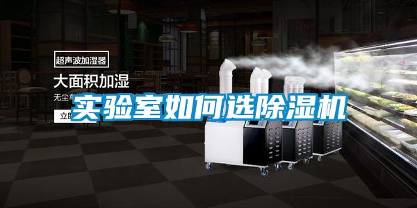 實(shí)驗室如何選除濕機