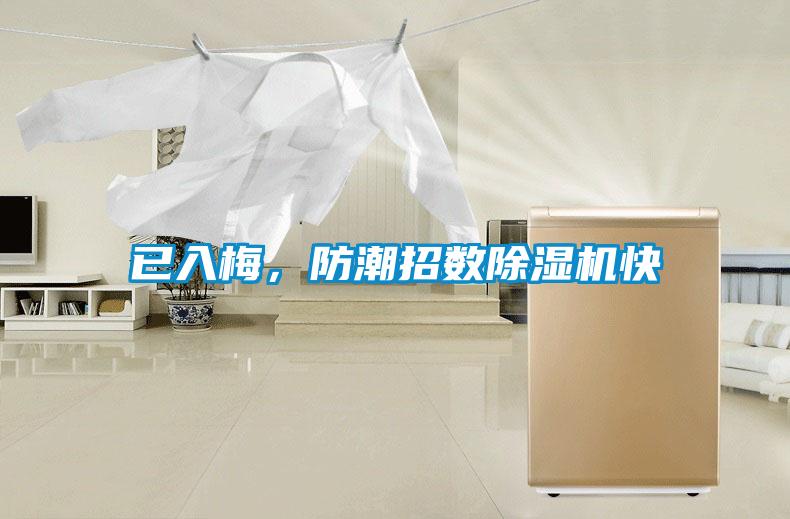 已入梅，防潮招數除濕機快