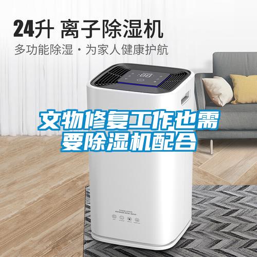 文物修復工作也需要除濕機配合