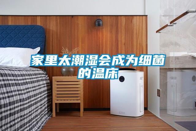 家里太潮濕會(huì )成為細菌的溫床