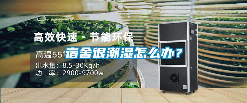 宿舍很潮濕怎么辦？