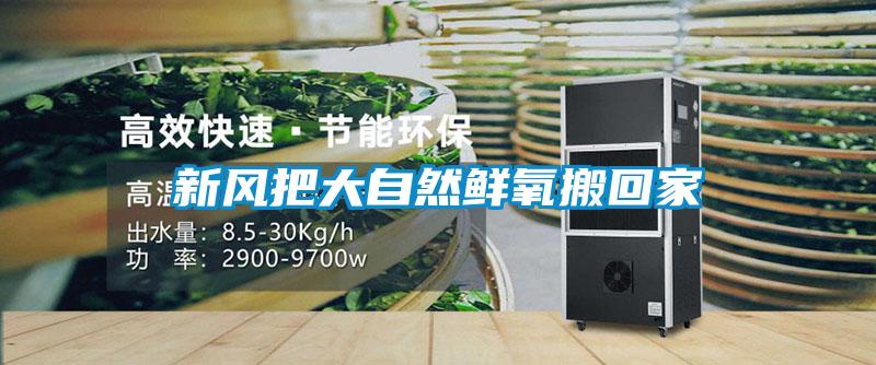 新風(fēng)把大自然鮮氧搬回家