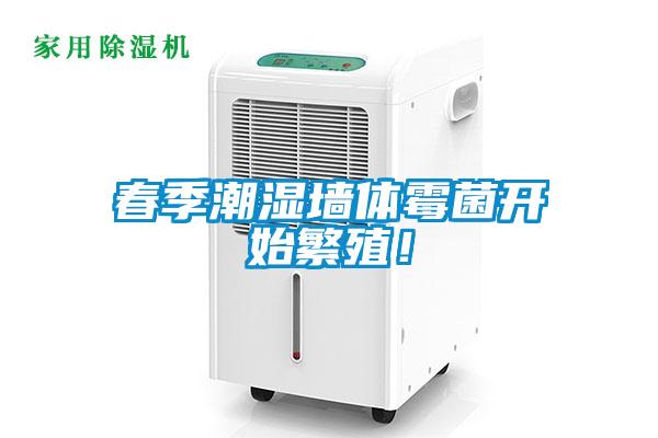 春季潮濕墻體霉菌開始繁殖！
