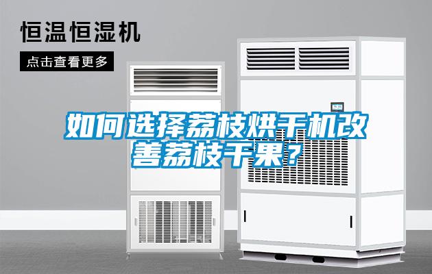 如何選擇荔枝烘干機(jī)改善荔枝干果？