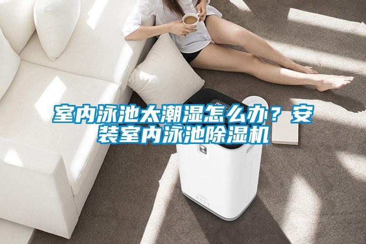 室內(nèi)泳池太潮濕怎么辦？安裝室內(nèi)泳池除濕機(jī)