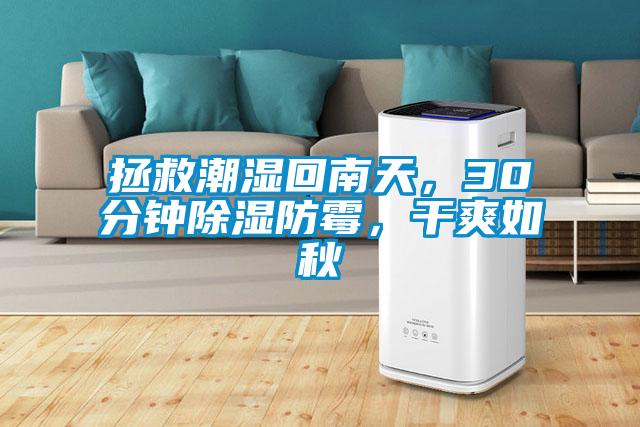 拯救潮濕回南天，30分鐘除濕防霉，干爽如秋