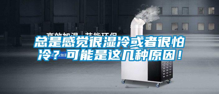 總是感覺(jué)很濕冷或者很怕冷？可能是這幾種原因！