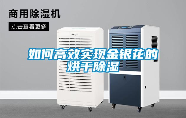 如何高效實(shí)現金銀花的烘干除濕