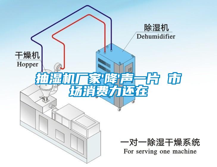 抽濕機廠(chǎng)家'降'聲一片 市場(chǎng)消費力還在