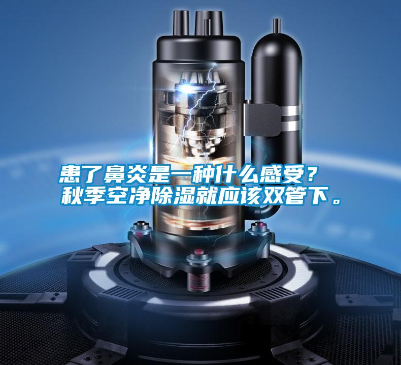 患了鼻炎是一種什么感受？ 秋季空凈除濕就應該雙管下。