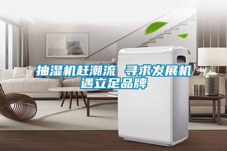 抽濕機(jī)趕潮流 尋求發(fā)展機(jī)遇立足品牌