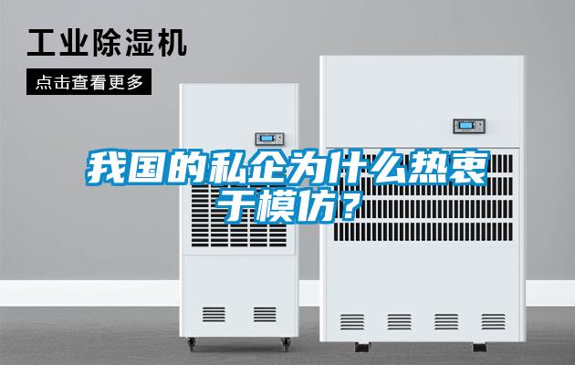 我國的私企為什么熱衷于模仿？