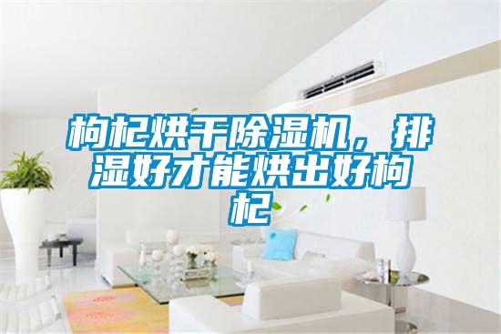 枸杞烘干除濕機，排濕好才能烘出好枸杞