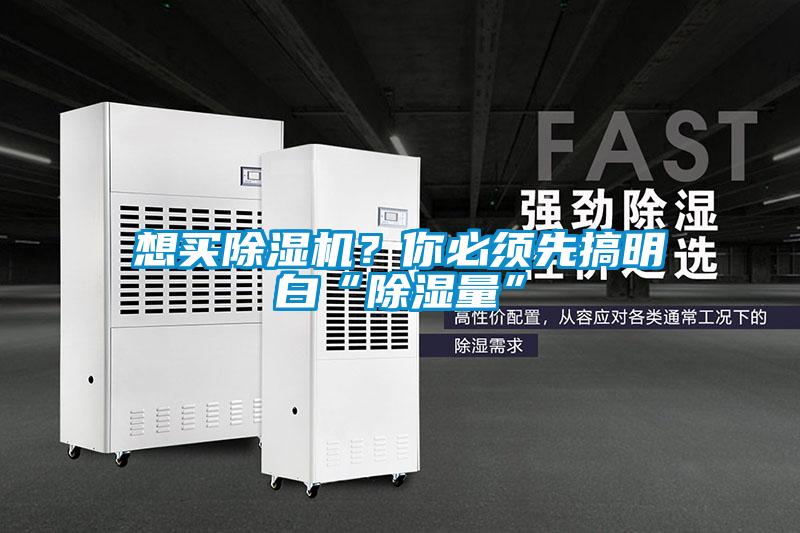 想買(mǎi)除濕機(jī)？你必須先搞明白“除濕量”