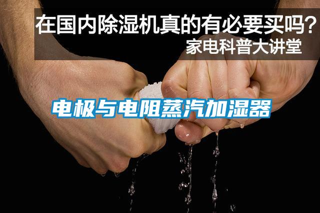 電極與電阻蒸汽加濕器