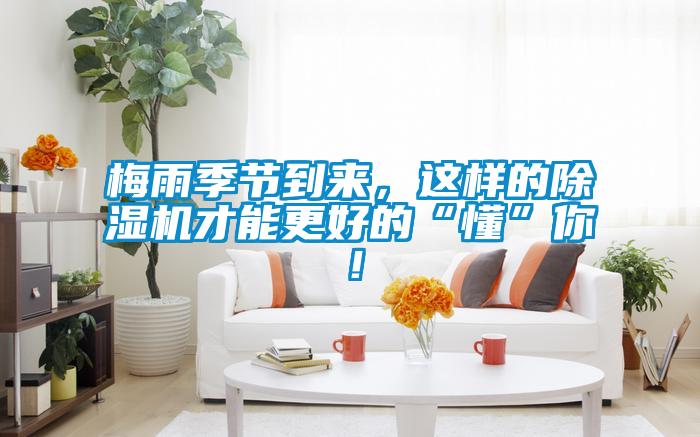 梅雨季節(jié)到來，這樣的除濕機才能更好的“懂”你！