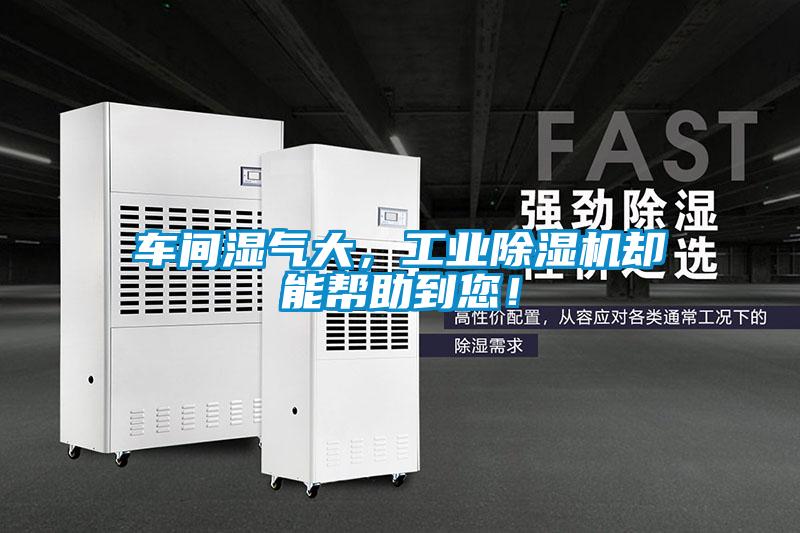 車(chē)間濕氣大，工業(yè)除濕機卻能幫助到您！
