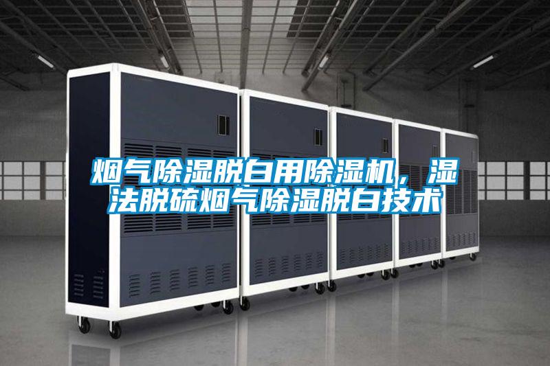 煙氣除濕脫白用除濕機，濕法脫硫煙氣除濕脫白技術(shù)