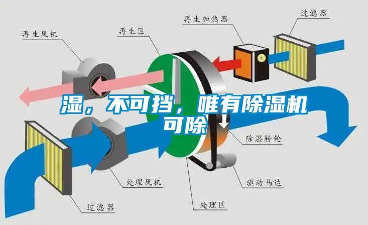 濕，不可擋，唯有除濕機可除