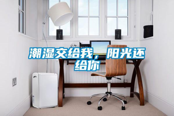 潮濕交給我，陽(yáng)光還給你