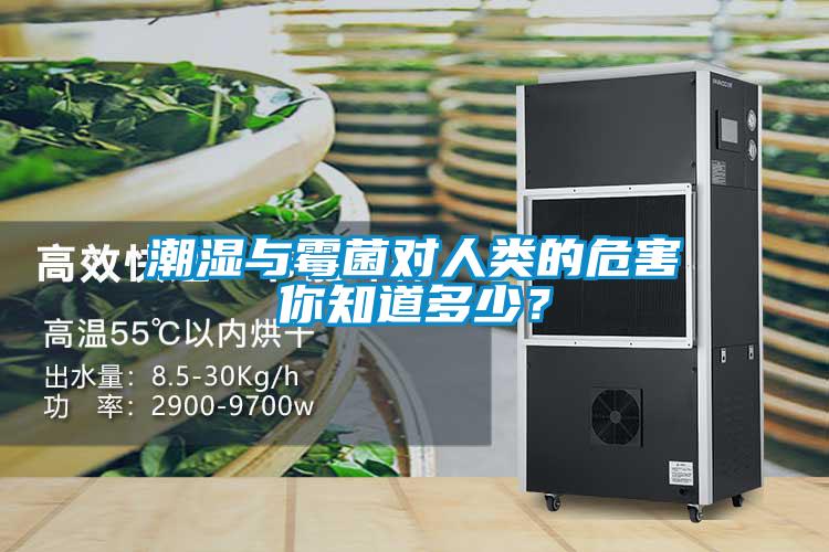 潮濕與霉菌對人類(lèi)的危害你知道多少？