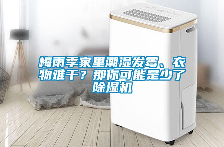 梅雨季家里潮濕發(fā)霉、衣物難干？那你可能是少了除濕機(jī)