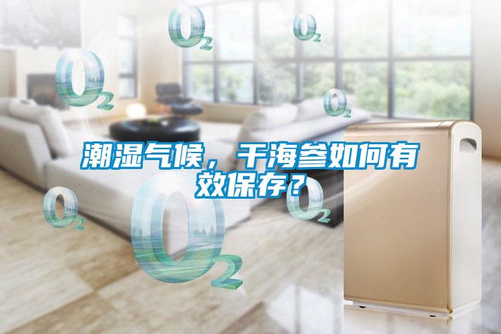 潮濕氣候，干海參如何有效保存？