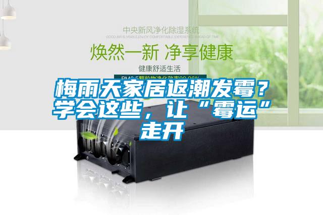 梅雨天家居返潮發(fā)霉？學(xué)會(huì )這些，讓“霉運”走開(kāi)
