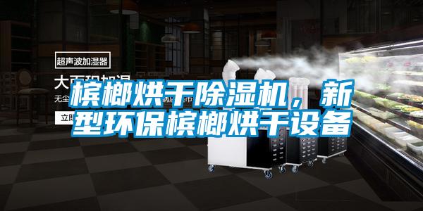 檳榔烘干除濕機，新型環(huán)保檳榔烘干設備
