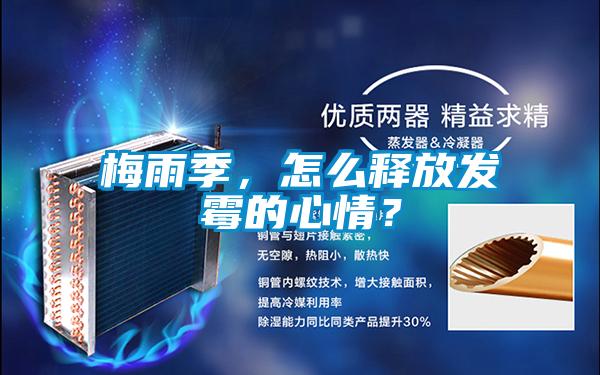 梅雨季，怎么釋放發(fā)霉的心情？