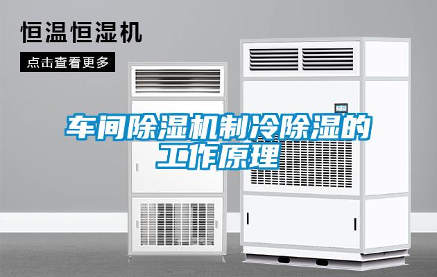 車(chē)間除濕機制冷除濕的工作原理