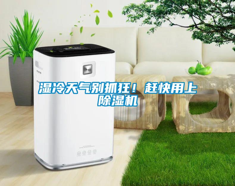 濕冷天氣別抓狂！趕快用上除濕機