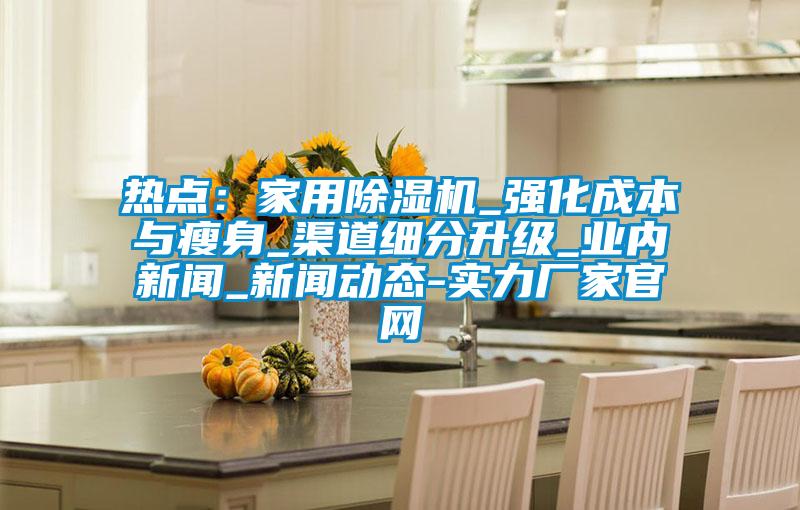 熱點(diǎn)：家用除濕機(jī)_強(qiáng)化成本與瘦身_渠道細(xì)分升級_業(yè)內(nèi)新聞_新聞動態(tài)-實(shí)力廠家官網(wǎng)