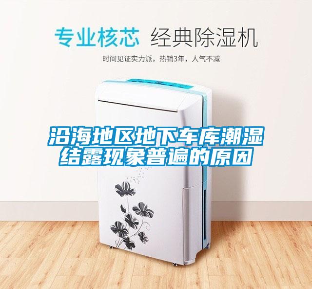 沿海地區地下車(chē)庫潮濕結露現象普遍的原因