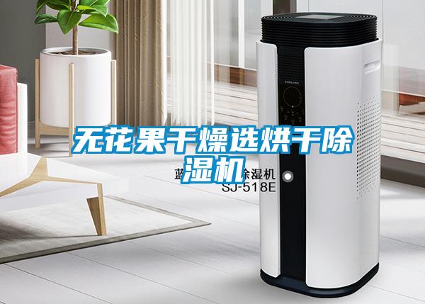 無(wú)花果干燥選烘干除濕機