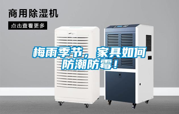 梅雨季節，家具如何防潮防霉！
