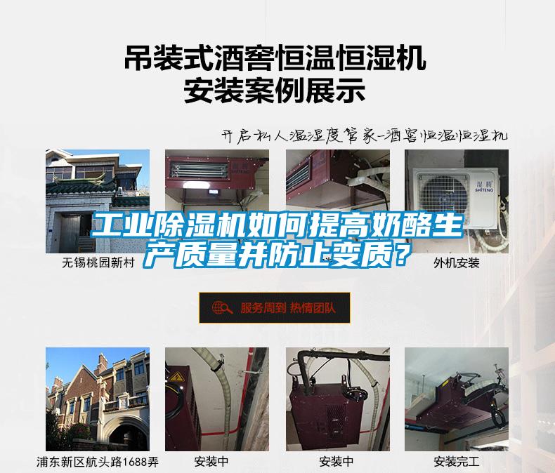工業(yè)除濕機如何提高奶酪生產(chǎn)質(zhì)量并防止變質(zhì)？