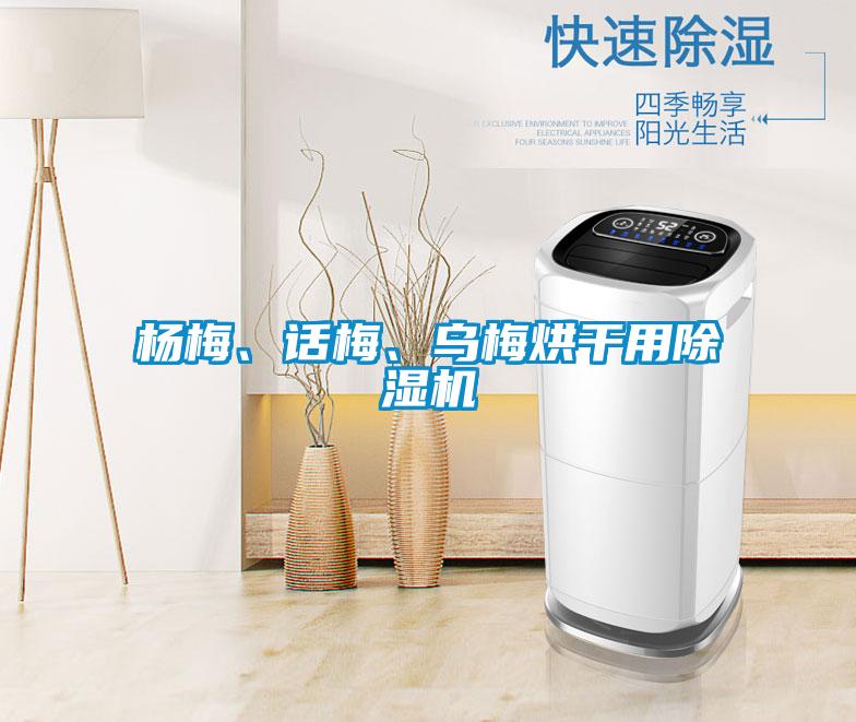 楊梅、話(huà)梅、烏梅烘干用除濕機